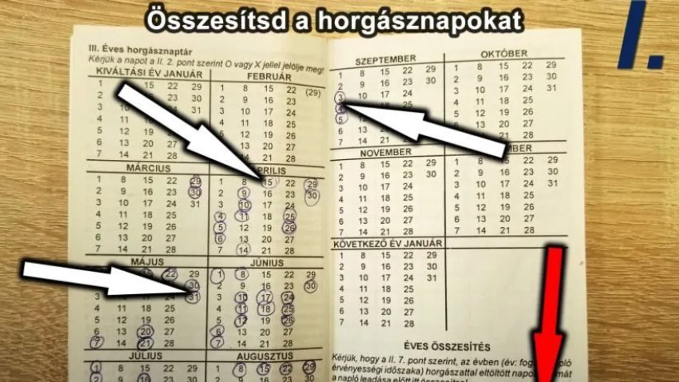 Segítség a fogási napló helyes összesítéséhez