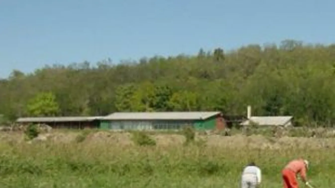 Digitális forradalom előtt áll az élelmiszeripar