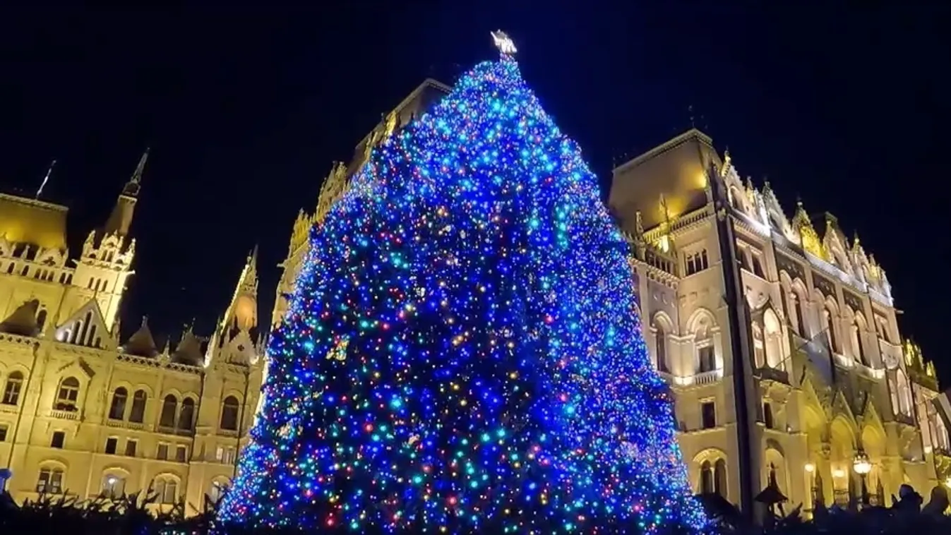 Radar – A karácsonyfa útja + videó