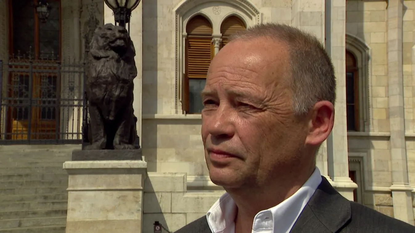 Szabályellenes lehet Szanyi visszahívása