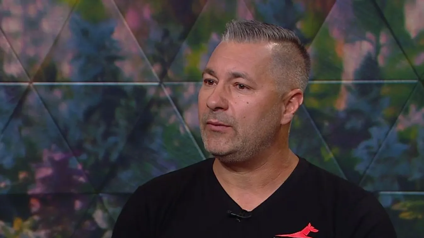 Mozaik - Utazás kutyával