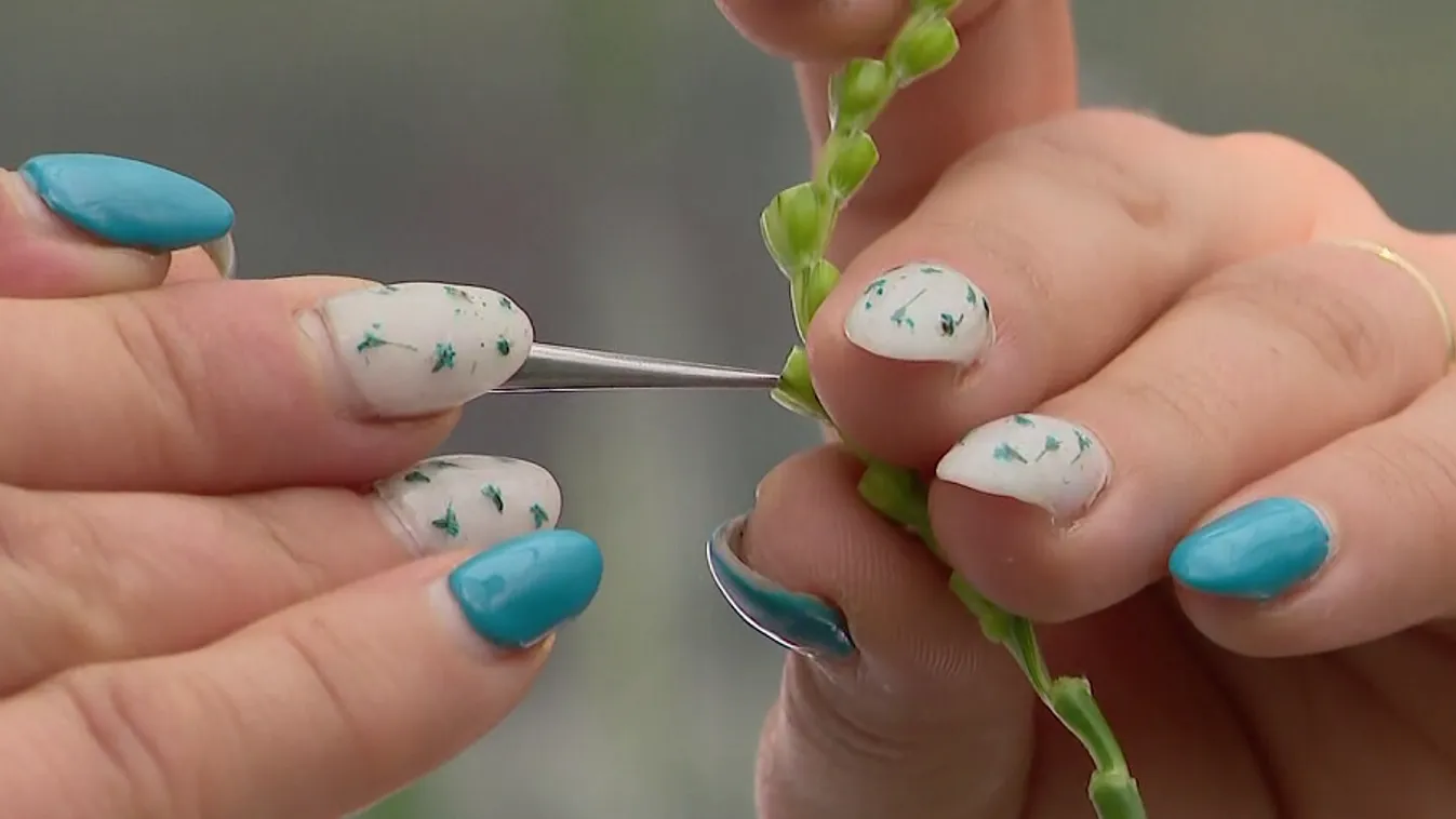 Radar – Új genetikai eljárás gyorsíthatja a növénynemesítést hazánkban + videó