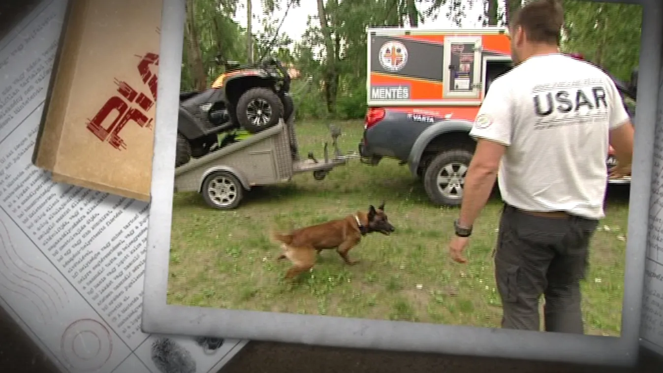 Kutyamentők – Riasztás