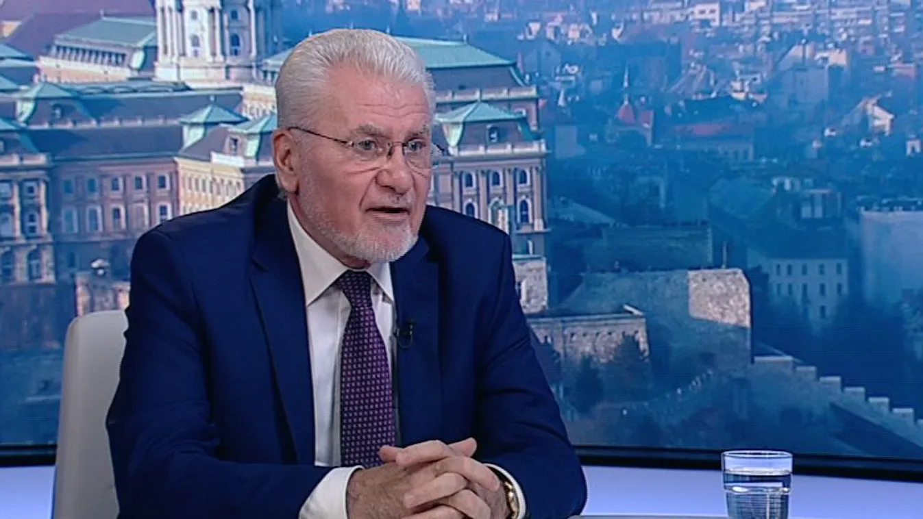 Az elmúlt években több politikus is „kéréssel” fordult az MTA egykori vezetőjéhez