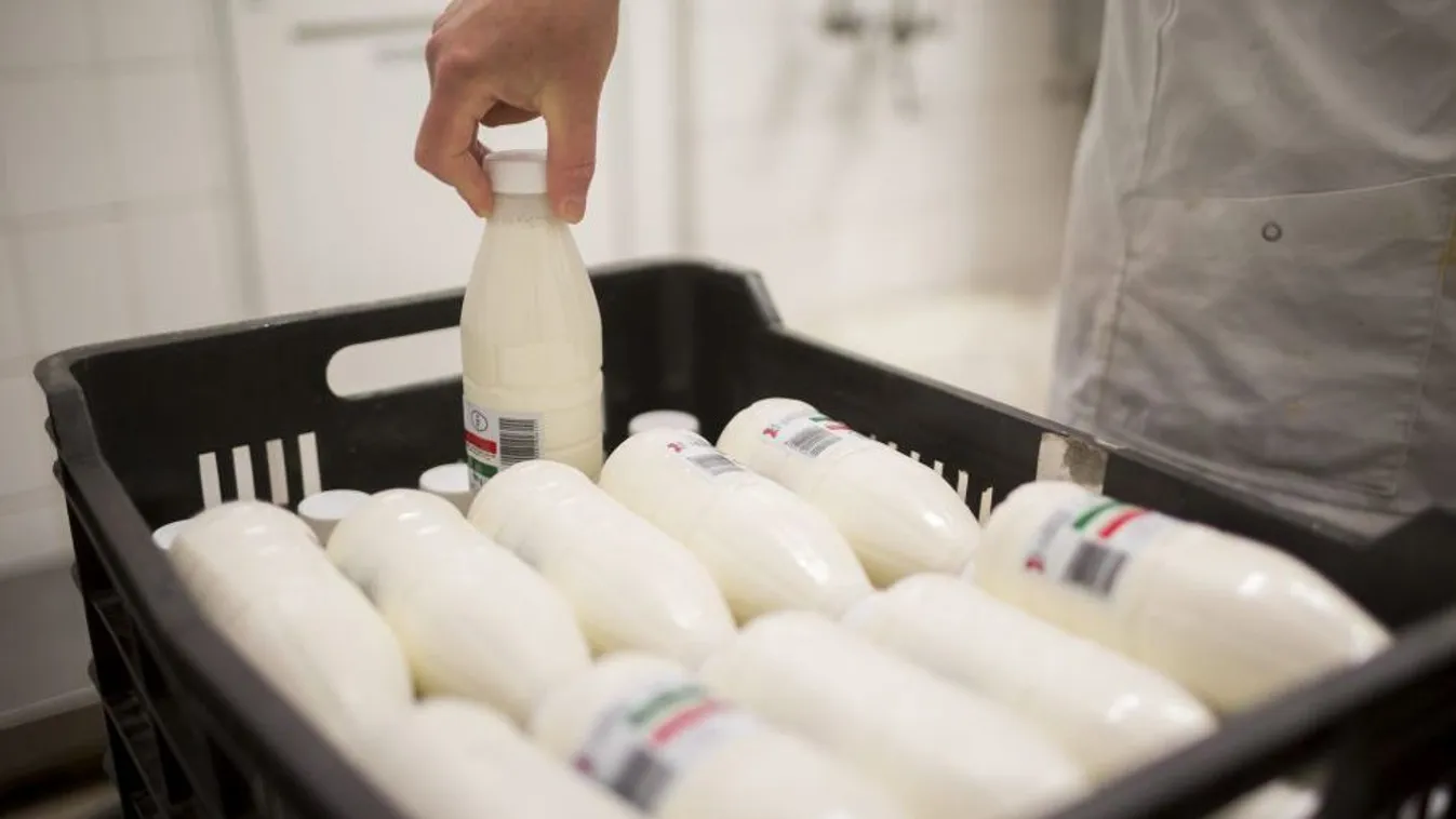 20 forintot is bukhatnak kilónként a tejtermelők