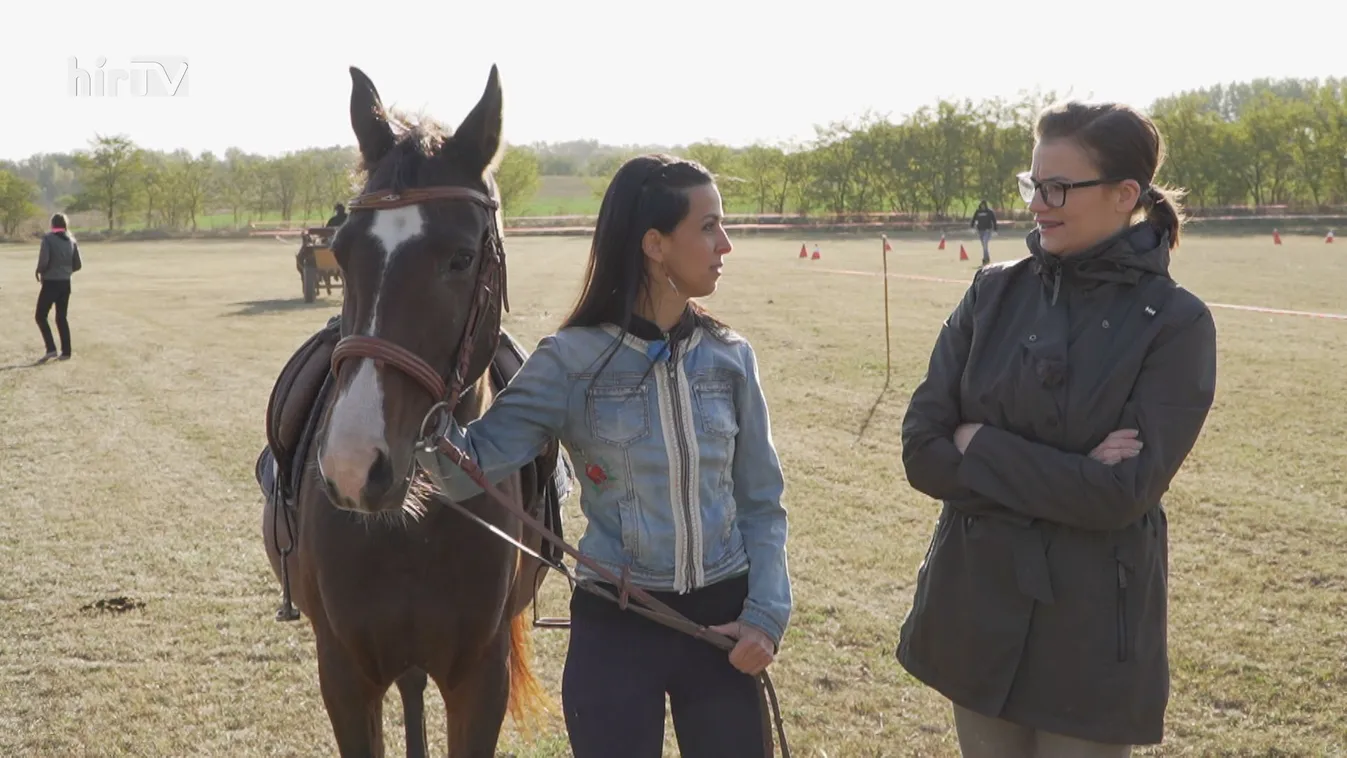 Magánterület: Egy nap Koncz Zsófiával