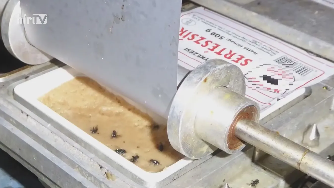 Újabb horrorvágóhidat leplezett le a NÉBIH