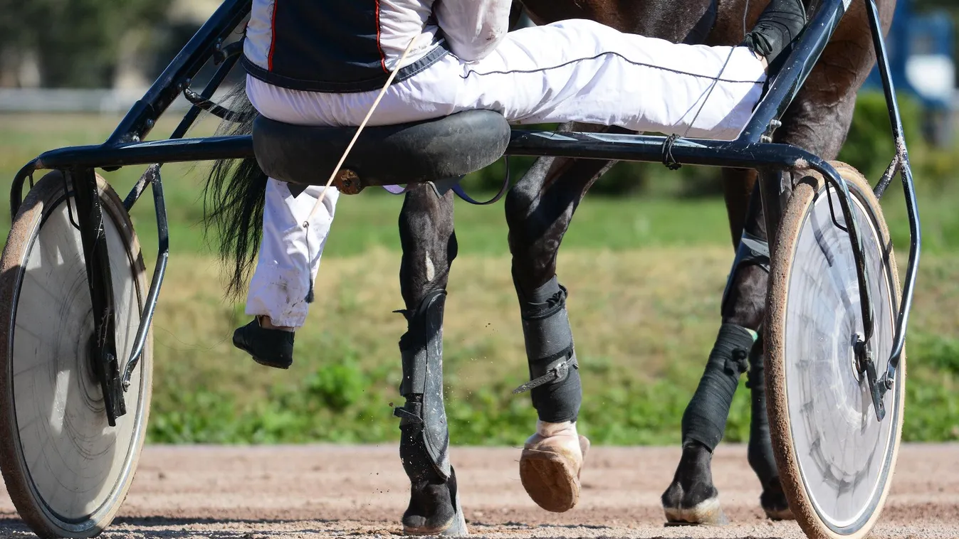 A favorit nyerte a 110. Ügető Magyar Derbyt