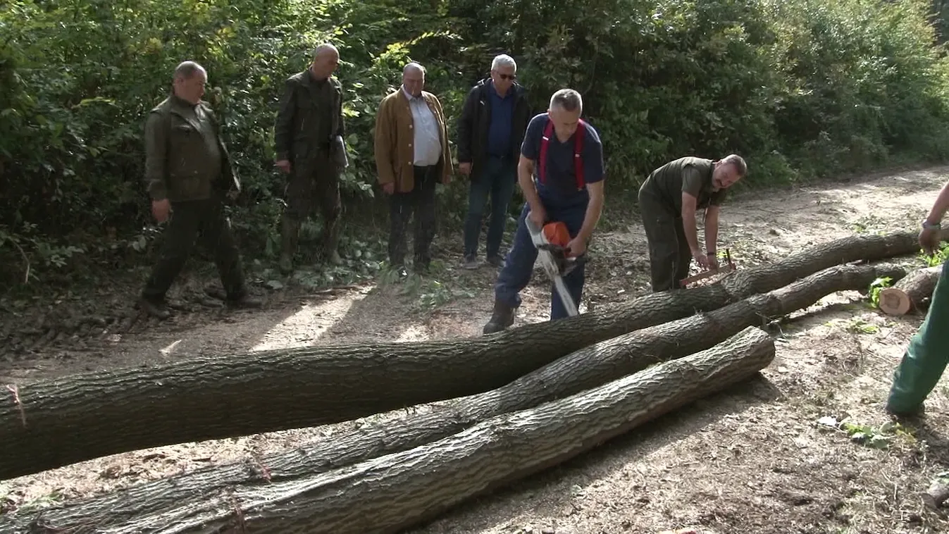 Továbbra is hatalmas a kereslet a tűzifa iránt