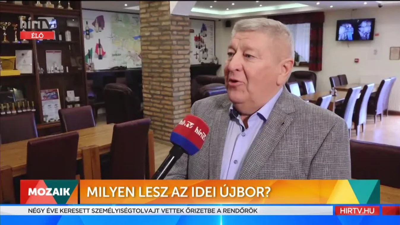 Mozaik - Milyen lesz az idei újbor?