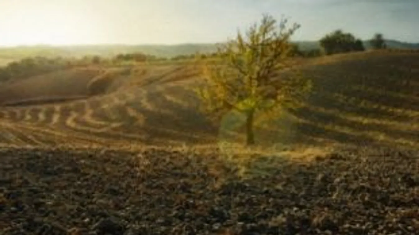 Földharc – Soroló