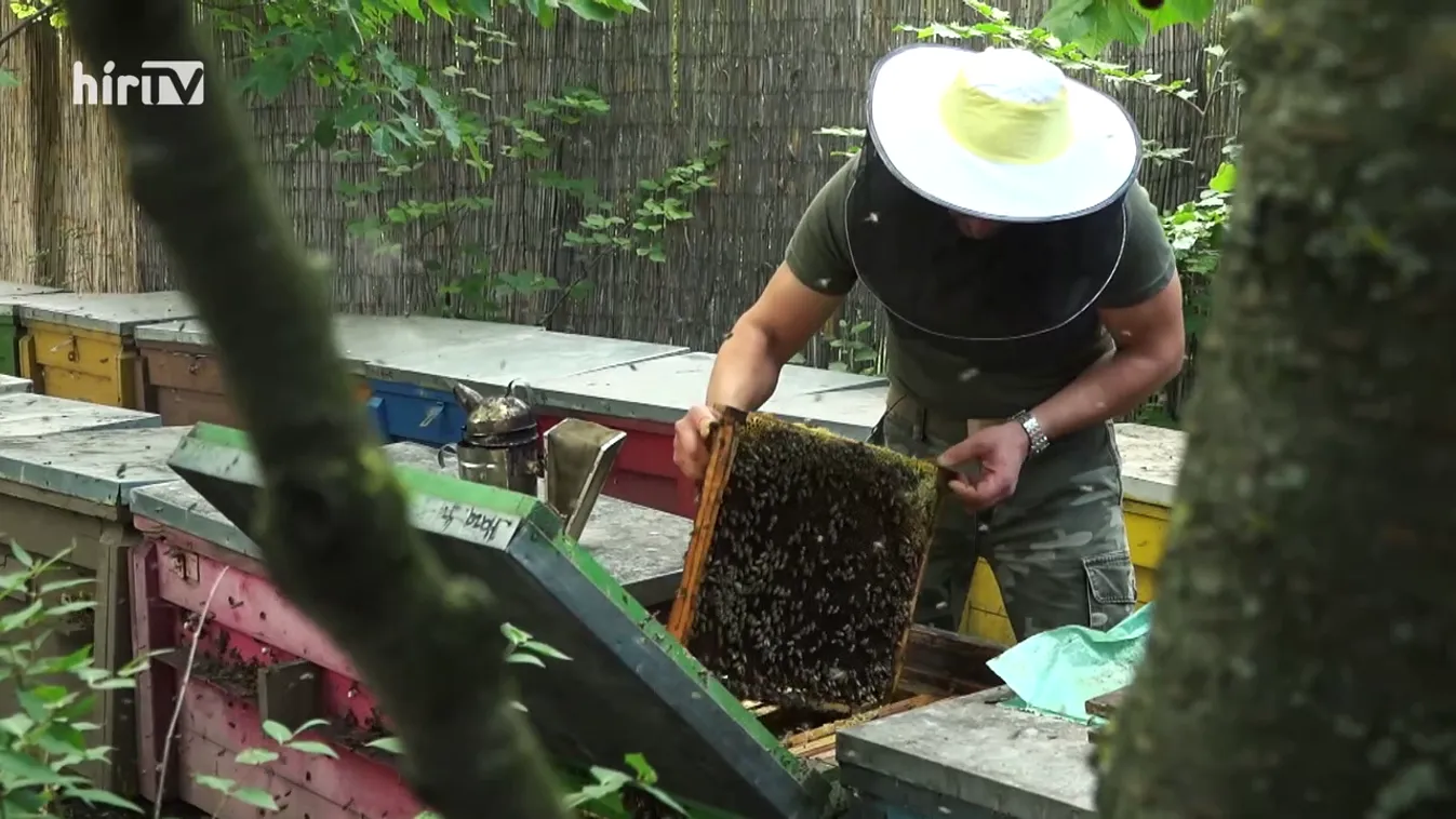 Soroló - Hal, méz, borbirtok