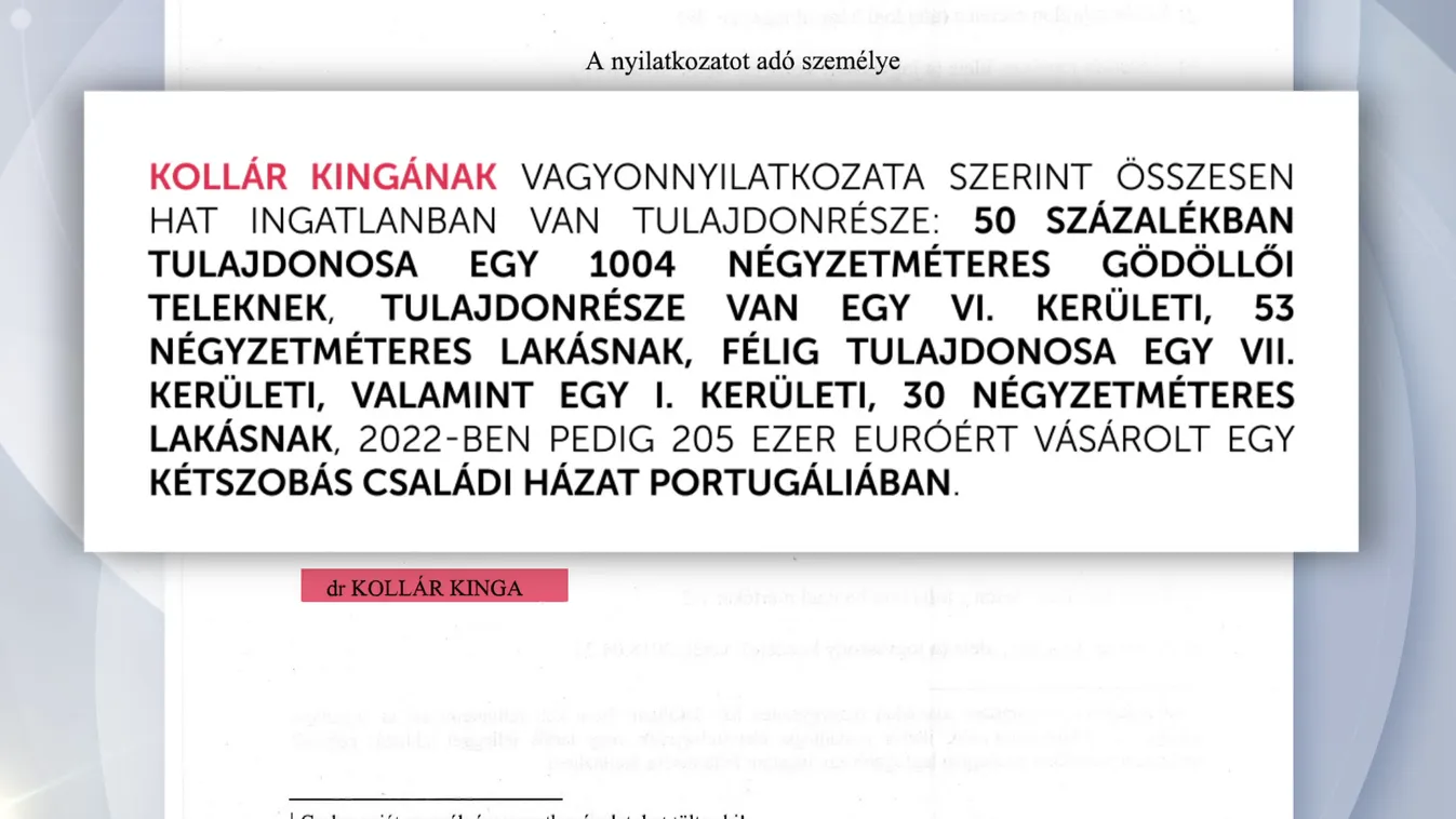 A Tisza Párt EP-képviselői közzétették vagyonnyilatkozatukat + videó
