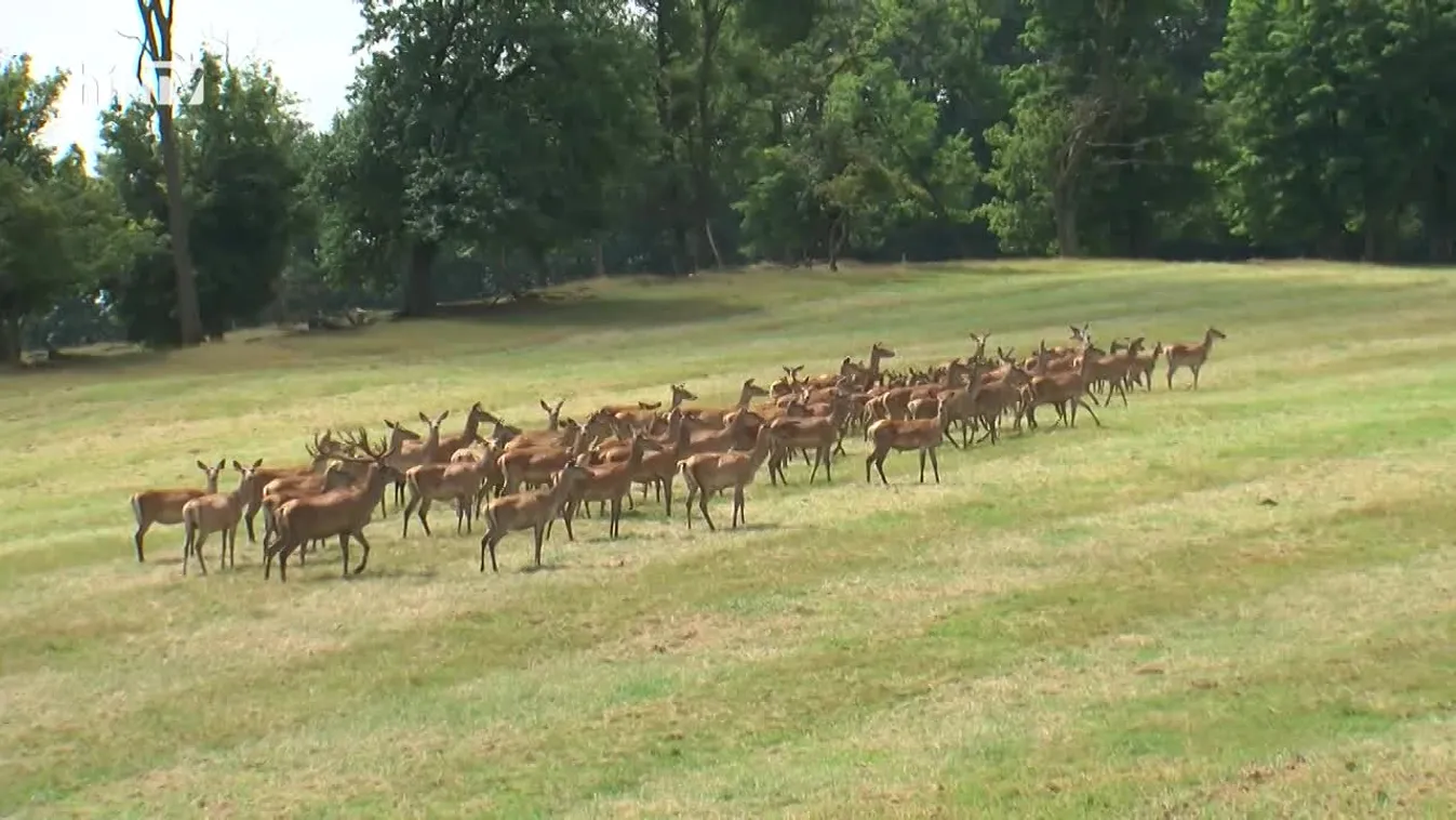 Soroló: Már csak néhány napig lehet csatlakozni a mezőgazdasági krízisalaphoz!