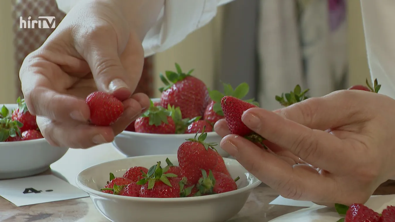 Panaszkönyv: Vettük, vittük és teszteltük az epret