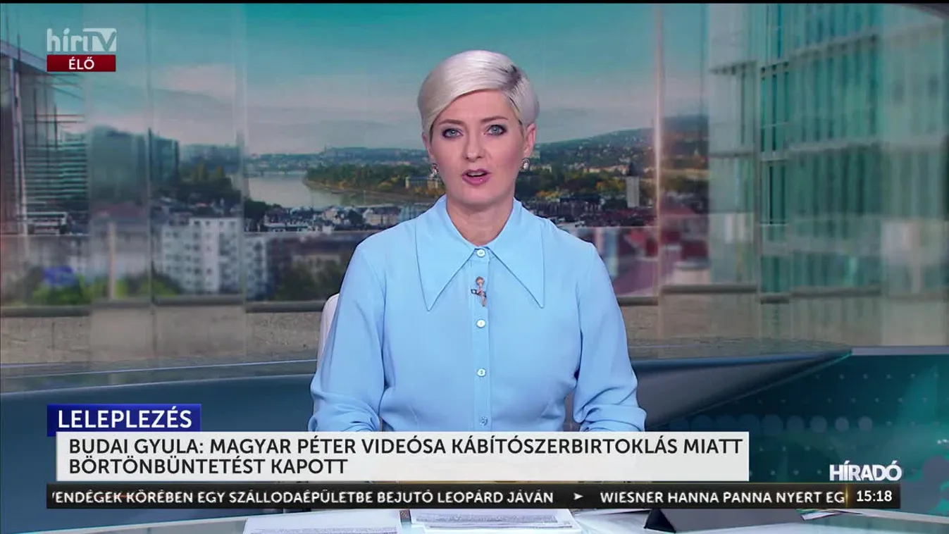 BUDAI GYULA: MAGYAR PÉTER VIDEÓSA KÁBÍTÓSZERBIRTOKLÁS MIATT BÖRTÖNBÜNTETÉST KAPOTT
