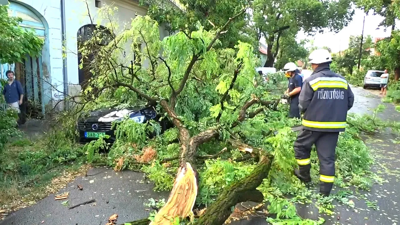Több mint ezer helyre riasztották a tűzoltókat országszerte