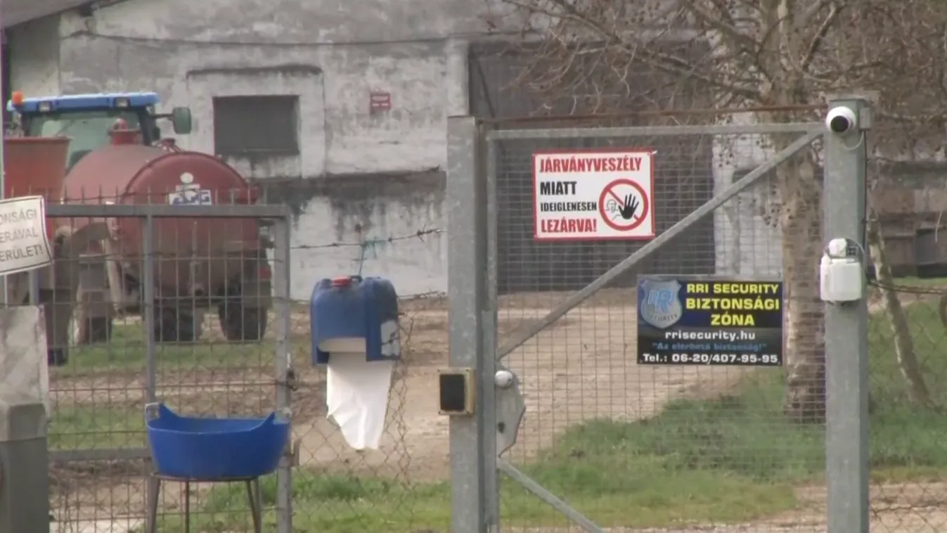 Radar – Eredményes a védekezés a száj és körömfájás betegség ellen hazánkban + videó