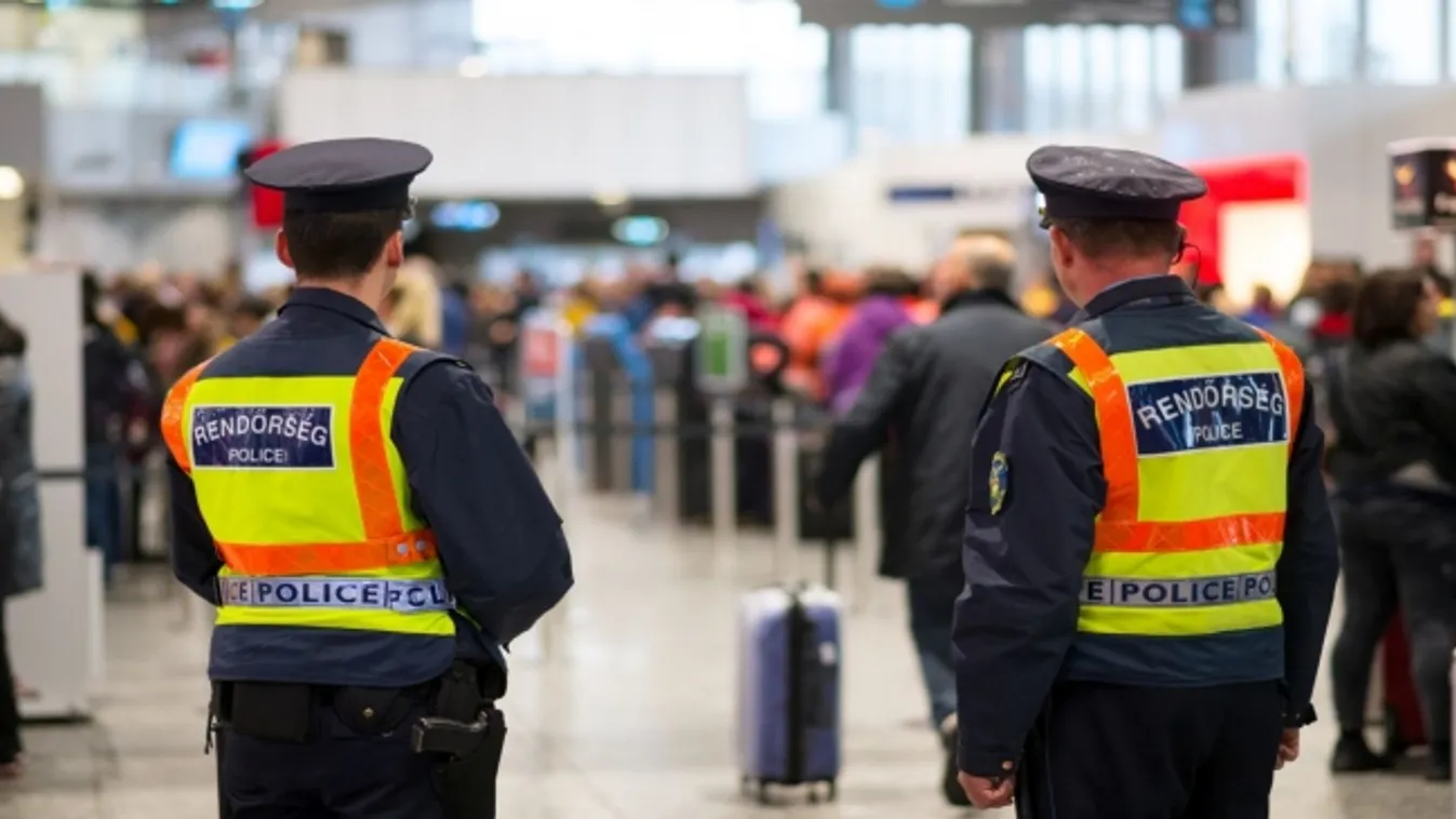 Teának szánta a piacon vett növényt, drogként foglalták le tőle az RRI nyomozói