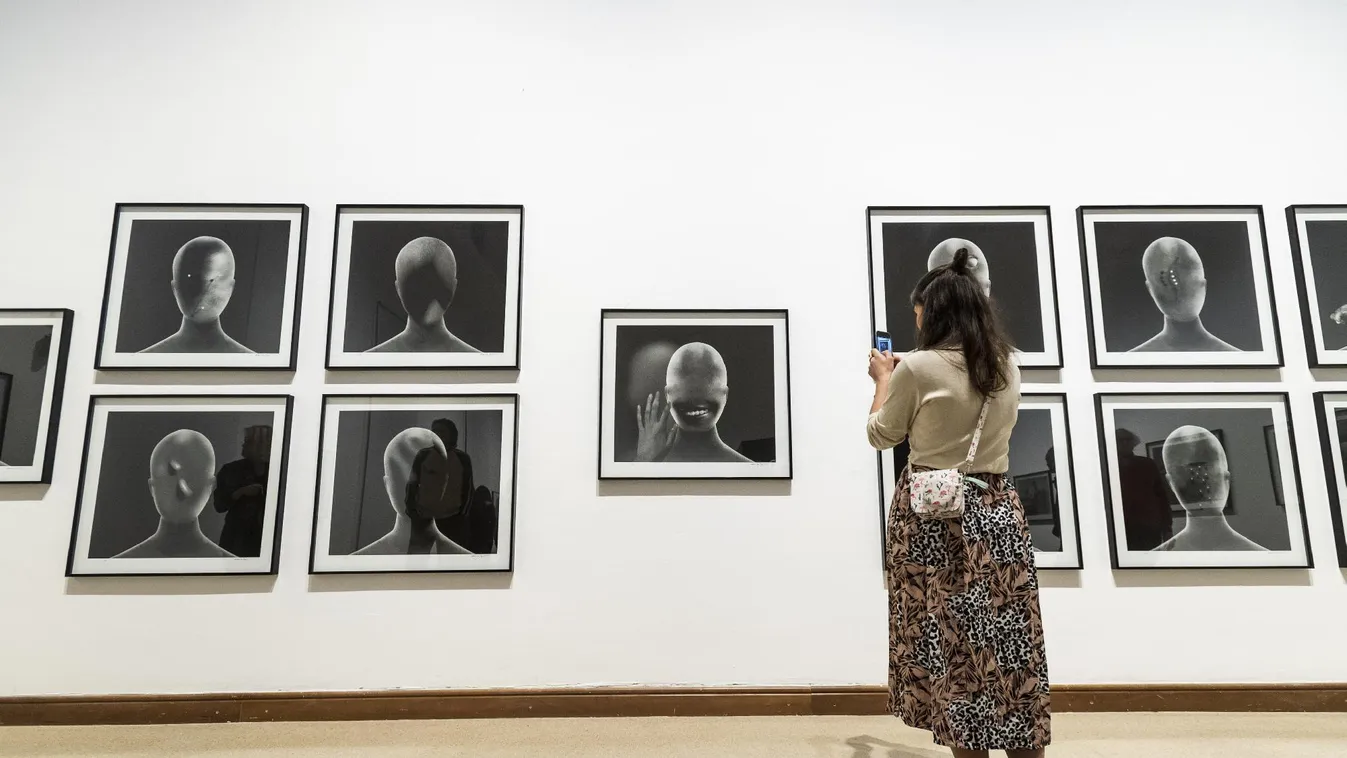 David Lynch művei a Budapest FotóFesztiválon – Paletta