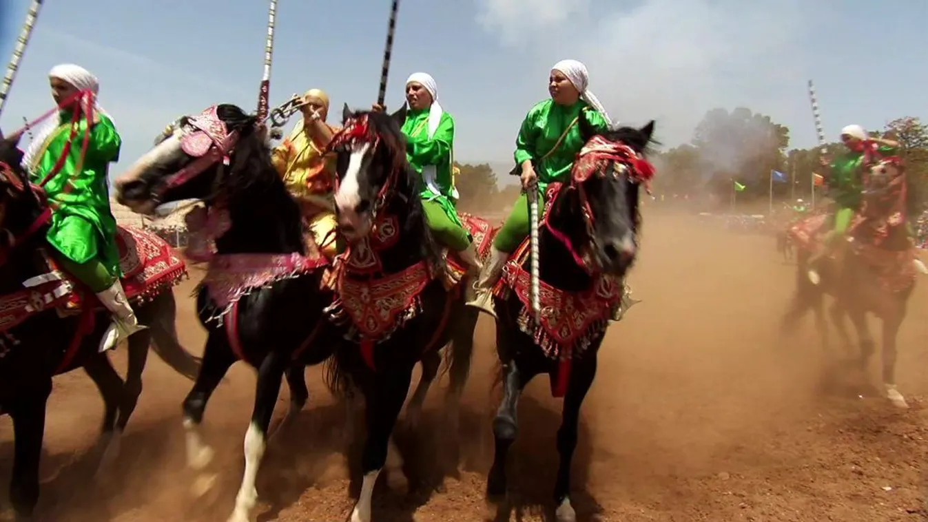 Nemek harca – BBC Reporters