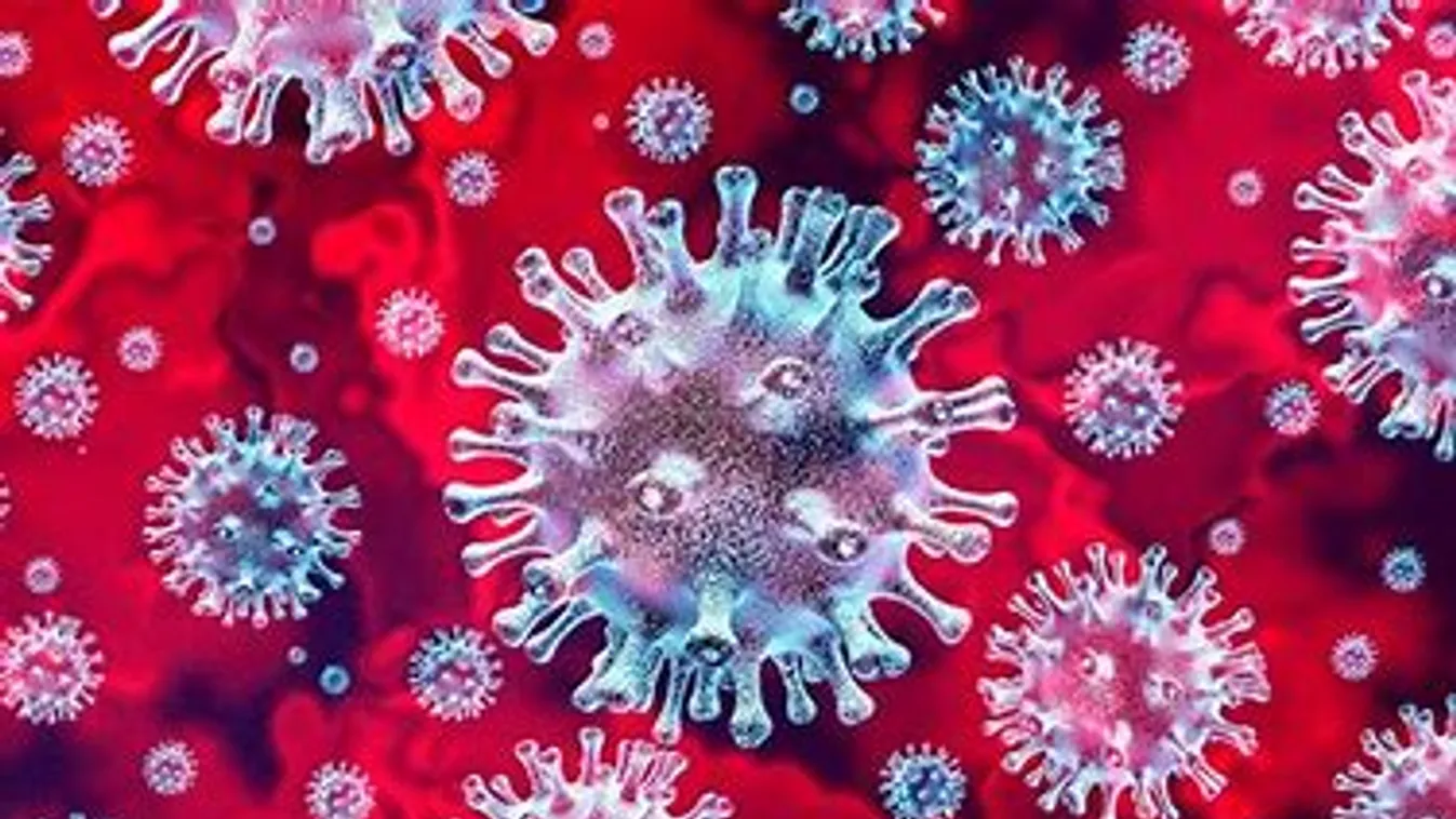 Meghaladta az ötmilliót a koronavírus áldozatainak száma