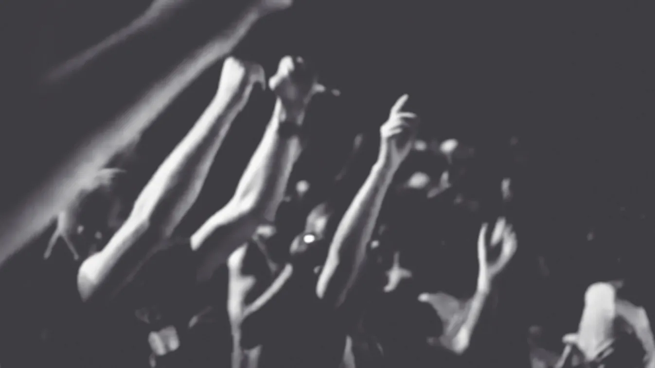 Kurdbarát tüntetők elfoglalták a CDU irodáját egy keletnémet városban