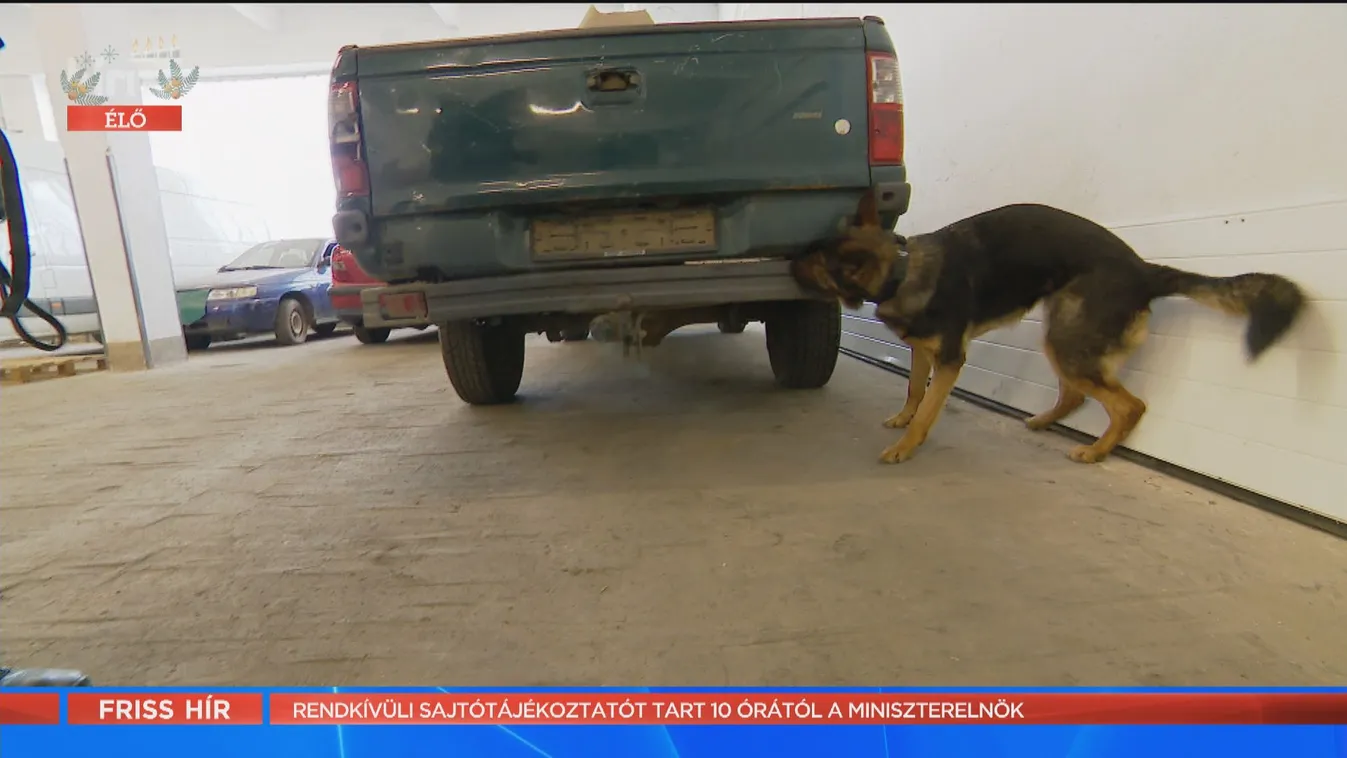 Mozaik - Hogyan gyakorolnak a NAV keresőkutyái az éles bevetésekre?