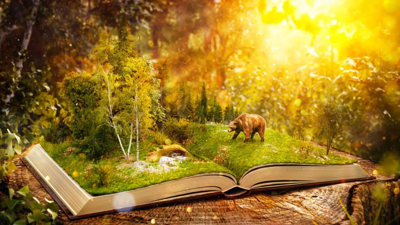 Állatmeséket olvasnak Kecskeméten a gyermekeknek