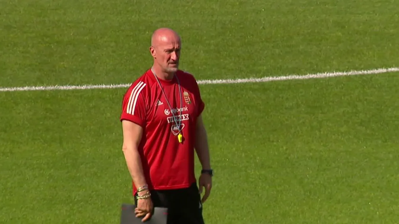 Sallai Roland a kezdőben a németek ellen