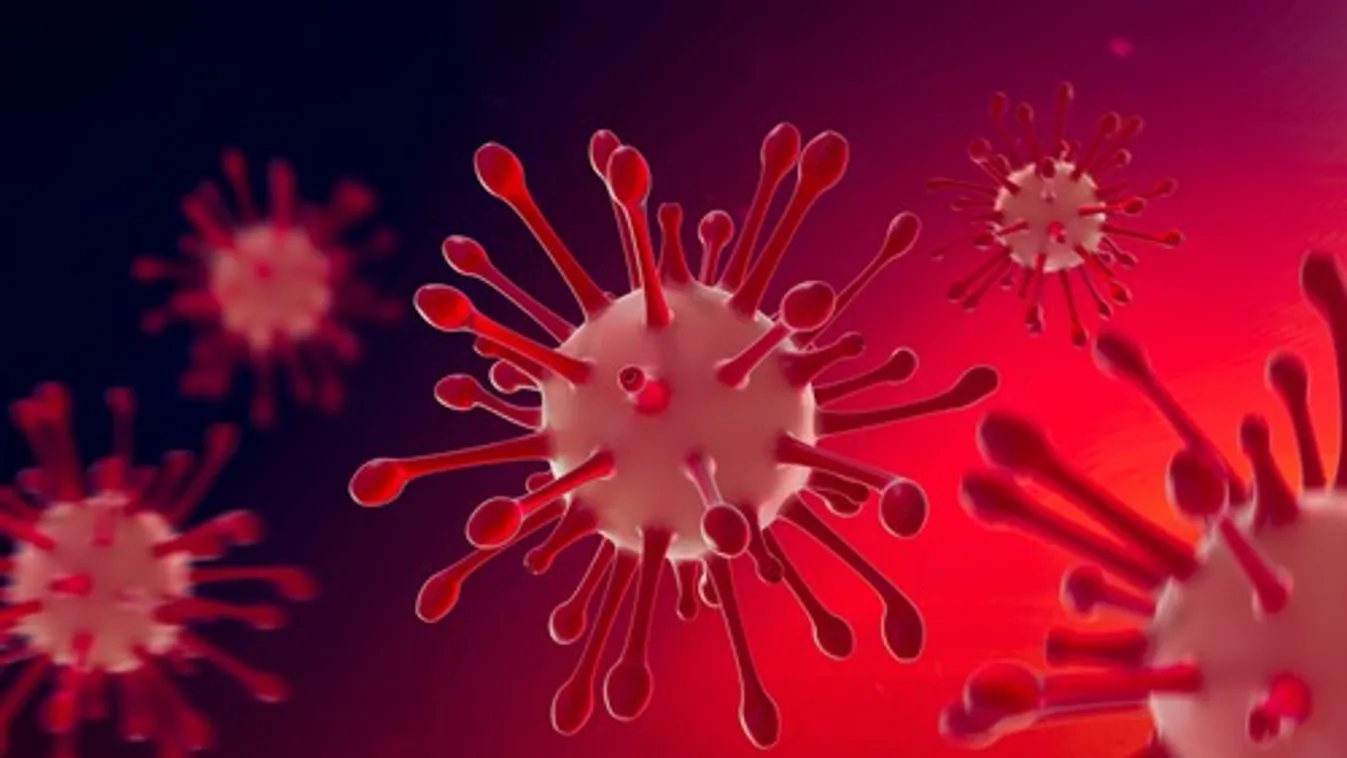 3678 főre nőtt a beazonosított fertőzöttek száma és elhunyt 3 idős krónikus beteg