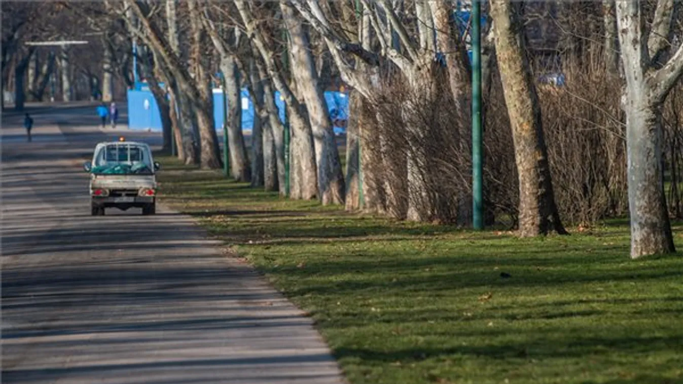 Tovább nő a zöldfelület aránya a Városligetben