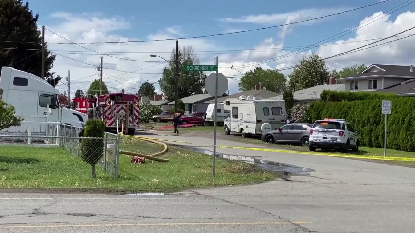 Egy madár miatt zuhanhatott le a repülő