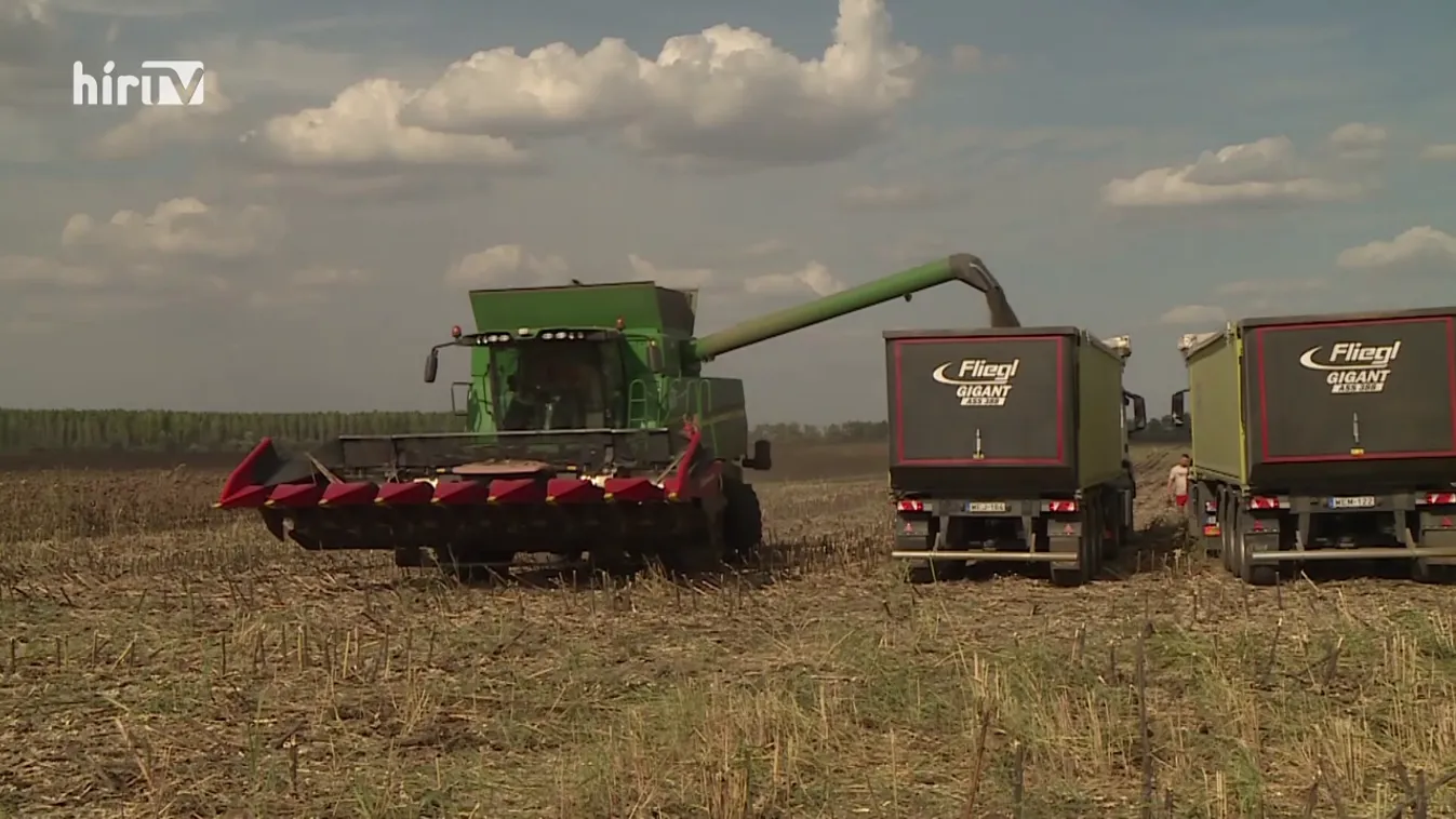 Soroló: Mindenki érezni fogja a háború hatásait az élelmiszerárakon