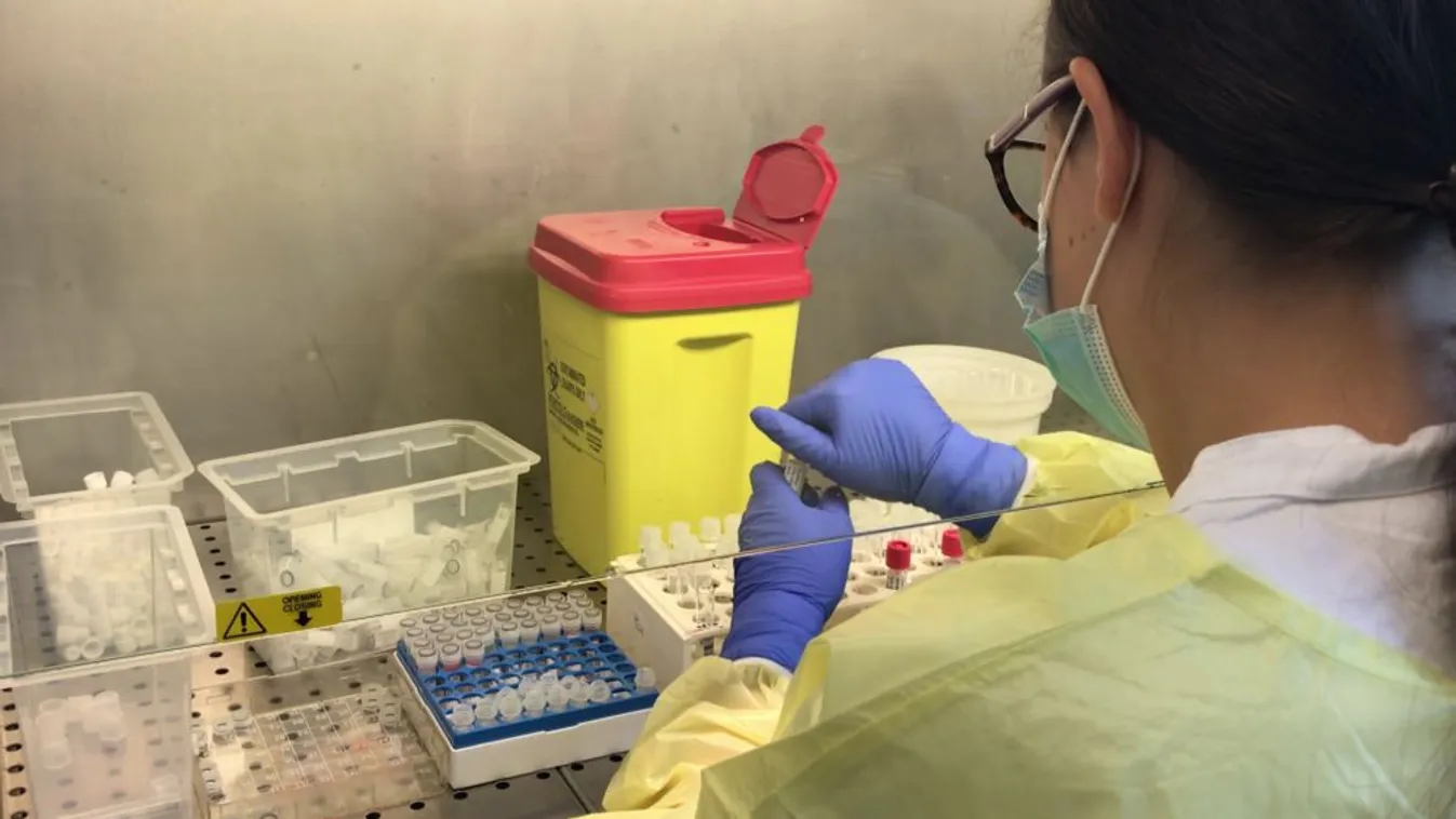 Megkezdődött az oltási kampány Olaszországban