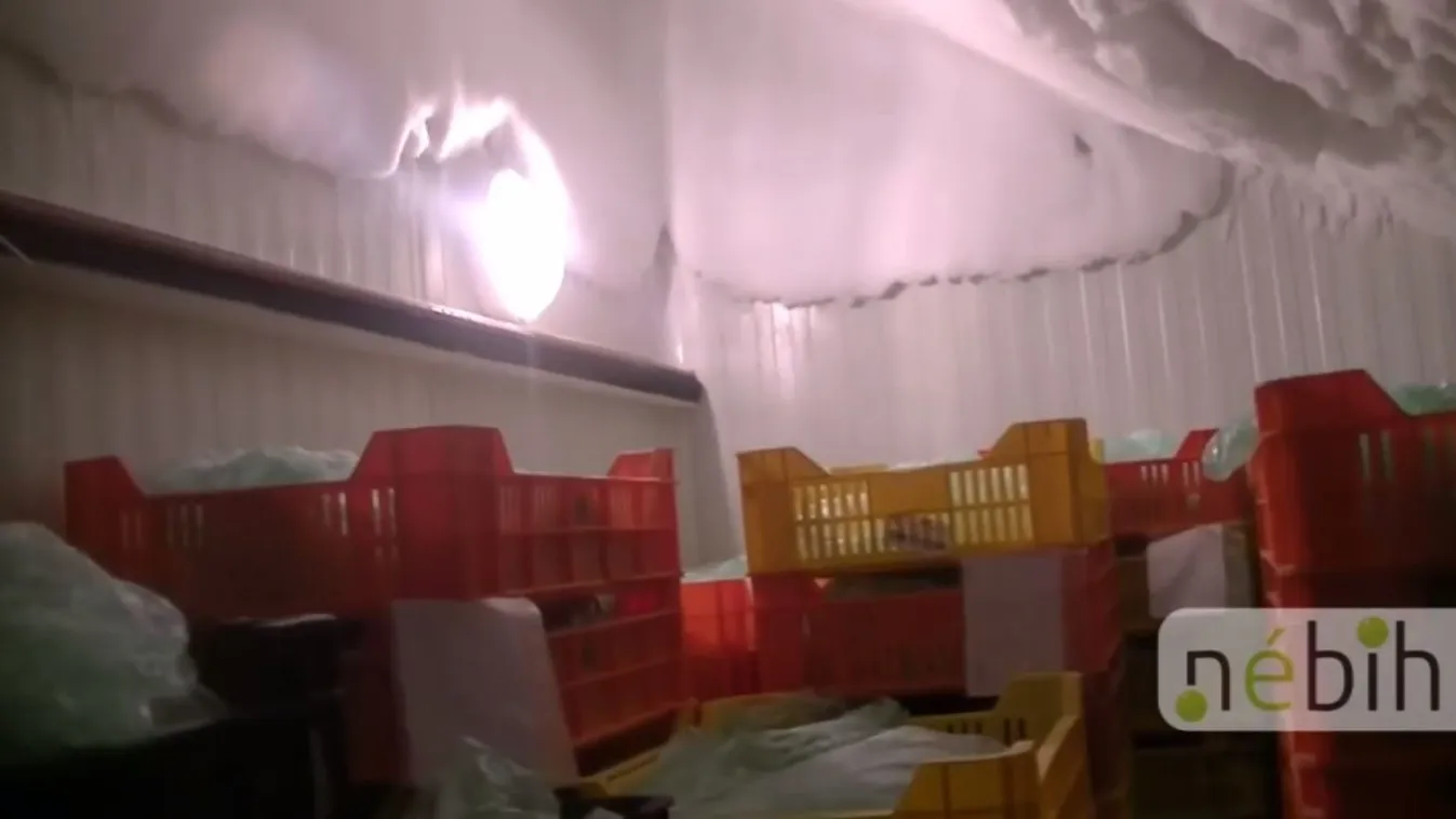 Több tonna lejárt élelmiszert talált a Nébih