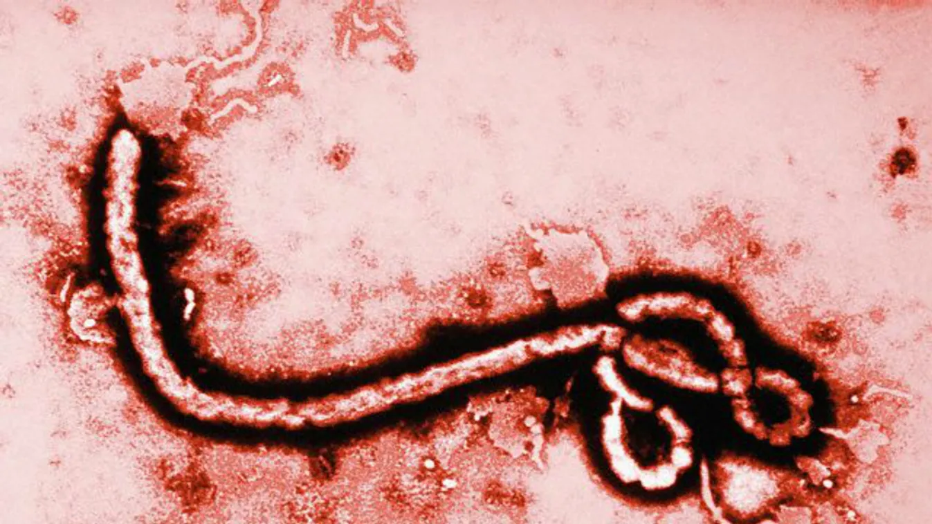 Már Svédországban az ebola?