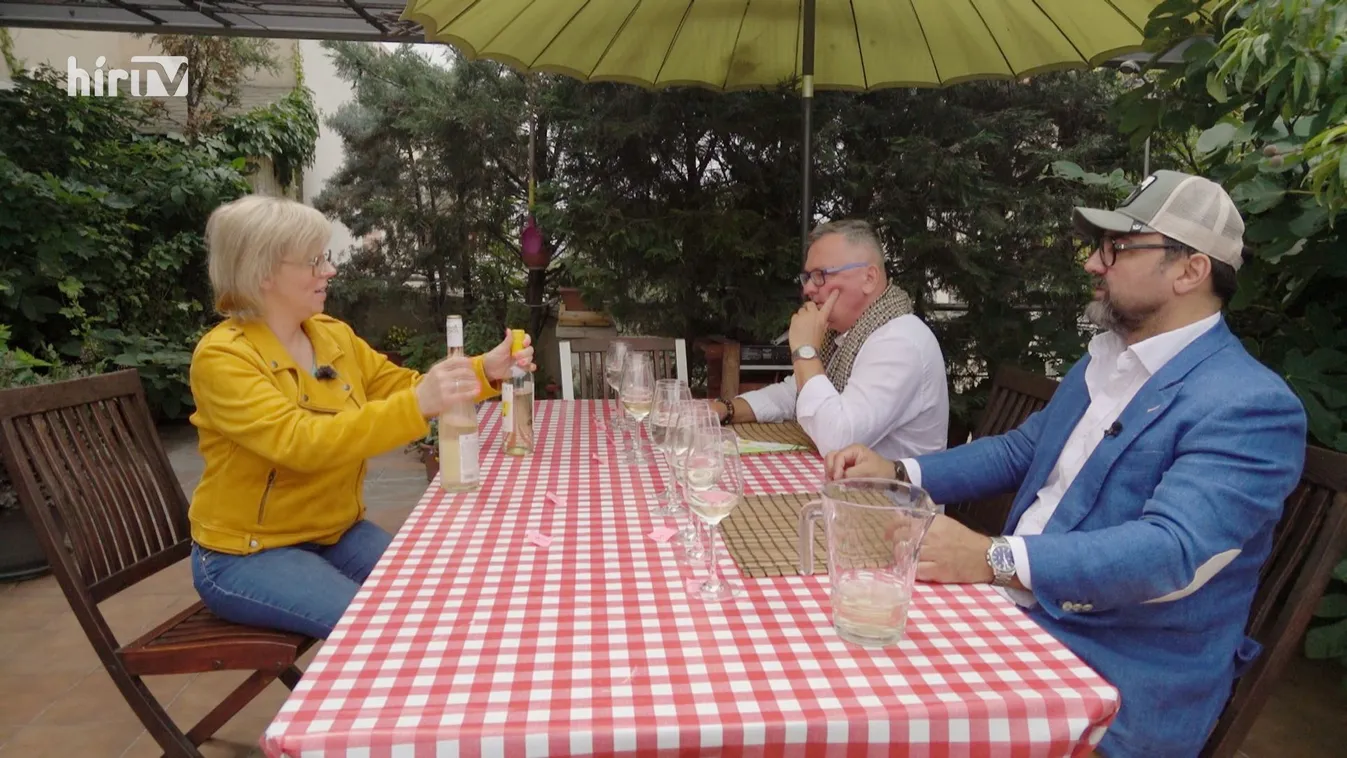 Panaszkönyv: Teszteltük a fröccsöket