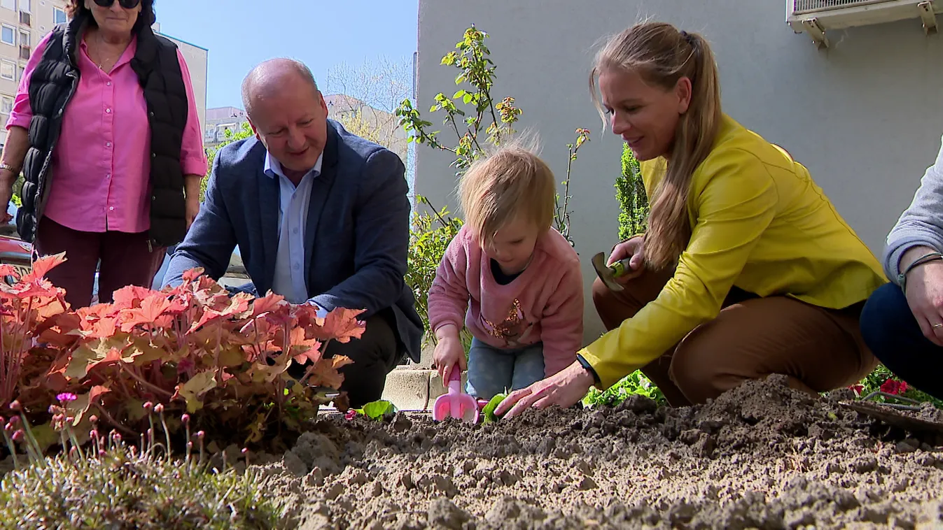 Több ezer virágpalántát osztottak ki Gazdagréten