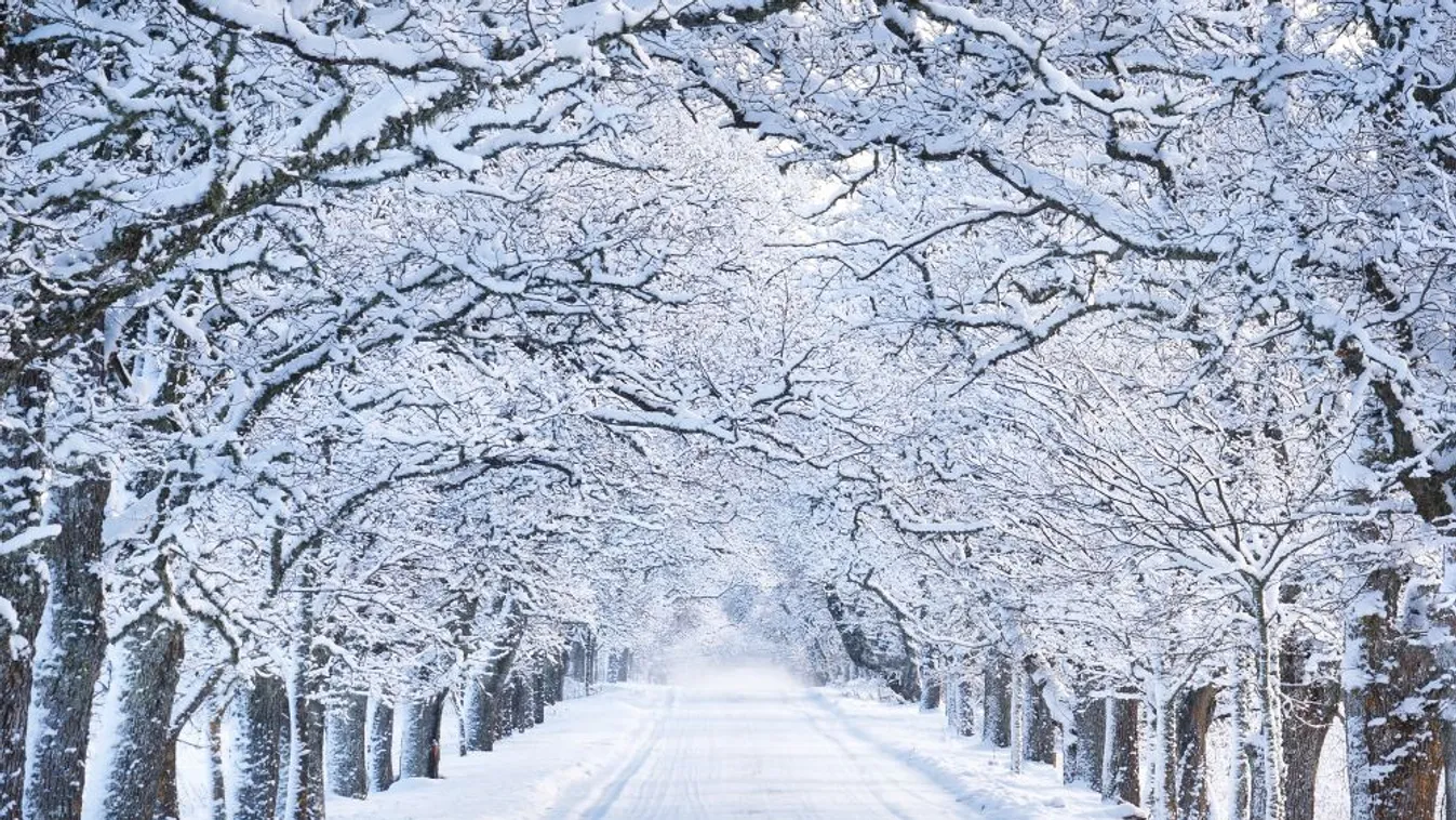 Helyenként akár mínusz 15 fokig is hűlhet a levegő