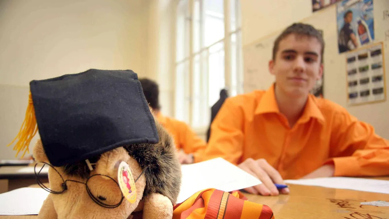 Megtöréspolitika és közszolgaságügy