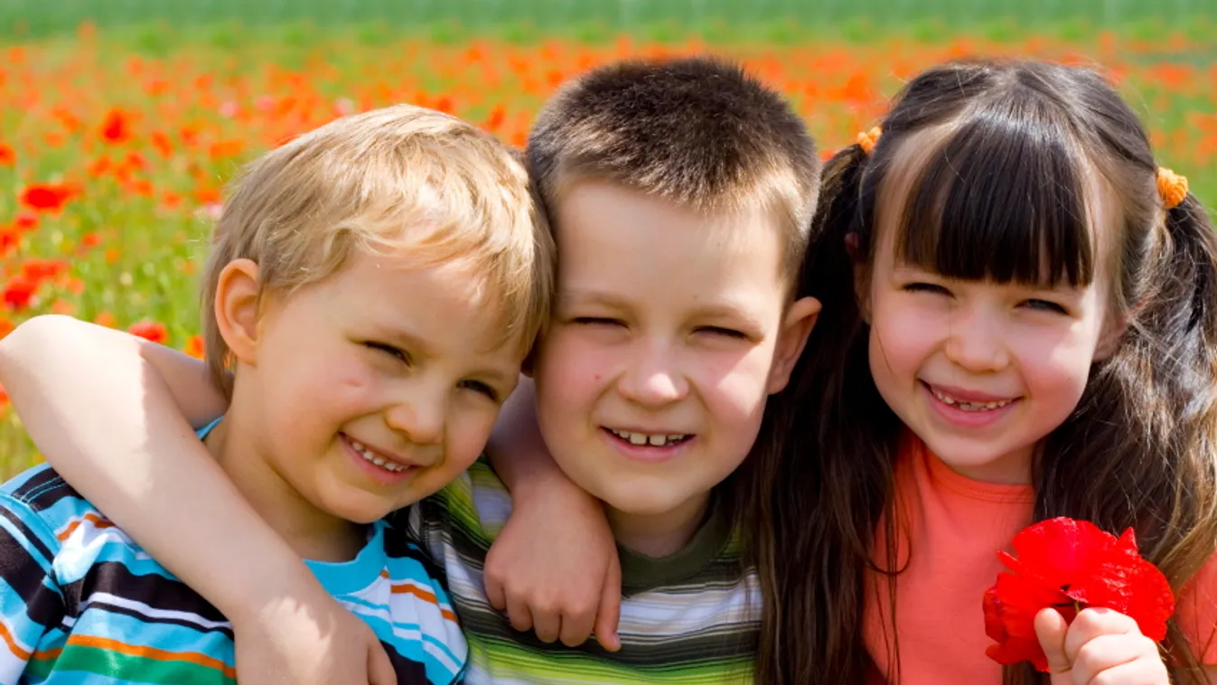 Adómentesség élethosszig? Készül az újabb konzultáció