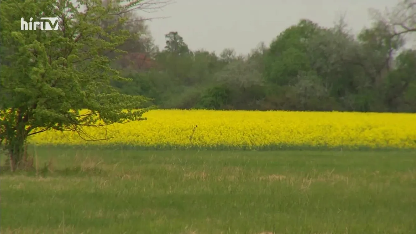 Soroló: Öntözési jogszabály változások