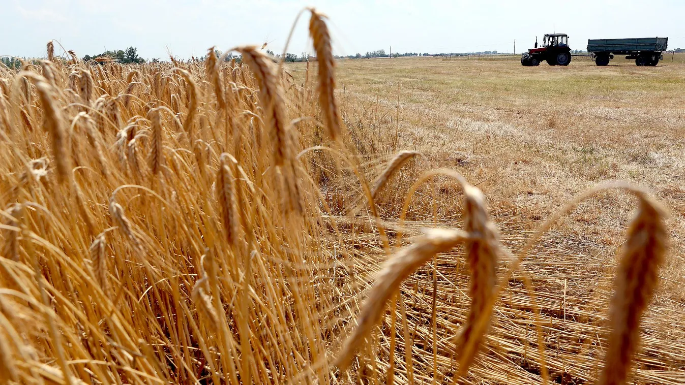 Hazánkban is kiépítik az agrár innovációs operatív csoportok hálózatát