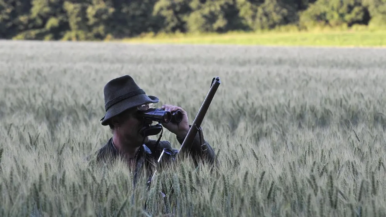 A túltartott vadállomány csökkentése hozhat megoldást