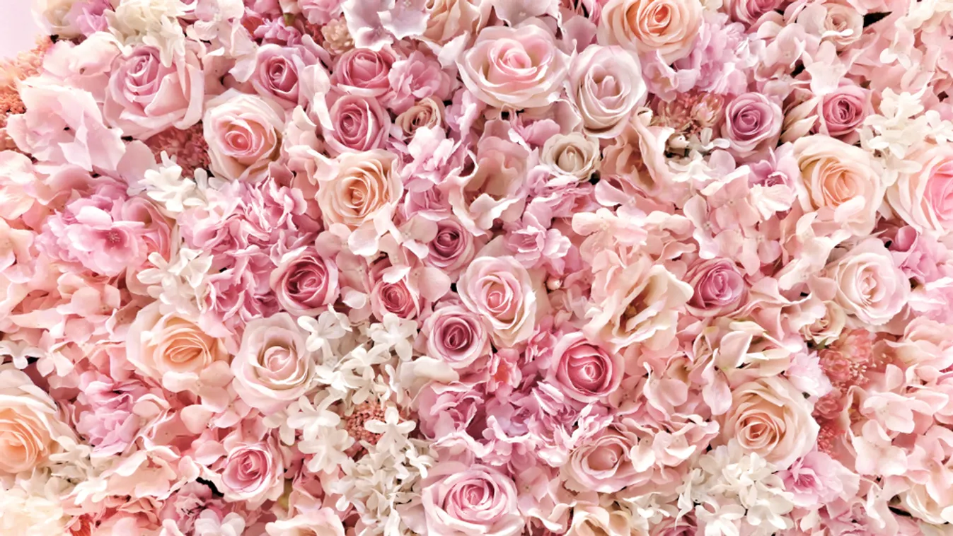 Nyitva maradhatnak a virágboltok a hosszú hétvégén