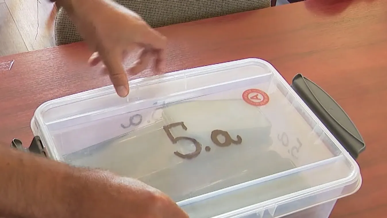 Egyre több országban tiltják ki a mobiltelefonokat az iskolákból + videó