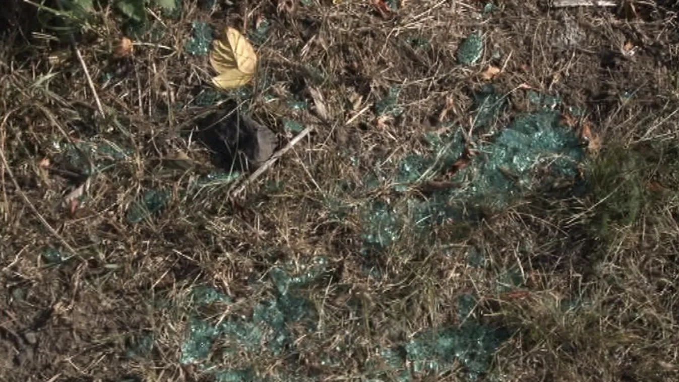 Kis híján meglincseltek egy nőt, aki elsodort egy kislányt Encsen