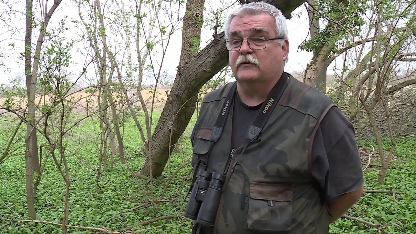 Radar - Terítéken a medvehagyma