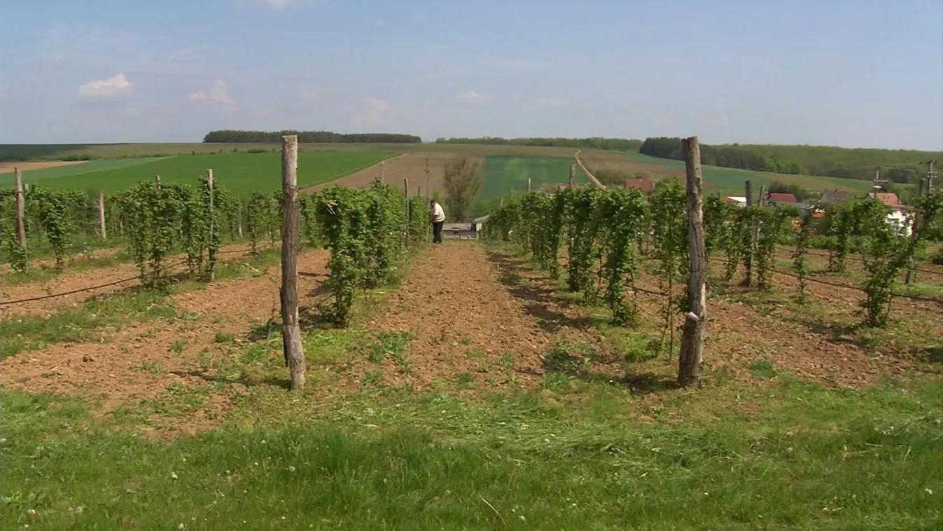 Soroló: Bemutatkozik a Nemzeti Agrárkutatási és Innovációs Központ